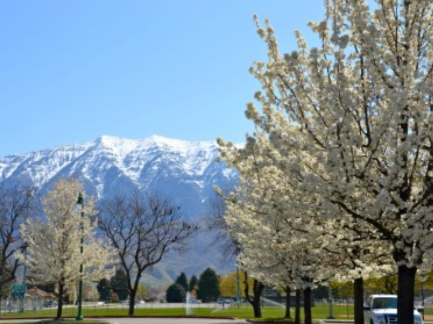 Orem